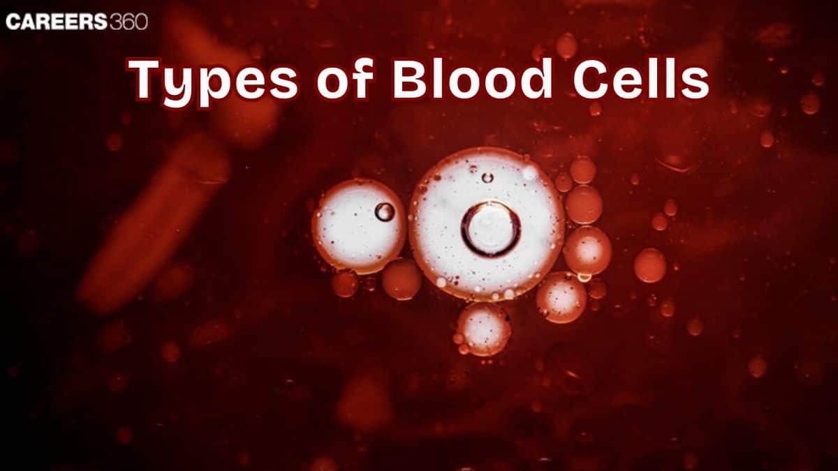 Types of Blood Cells and Their Functions